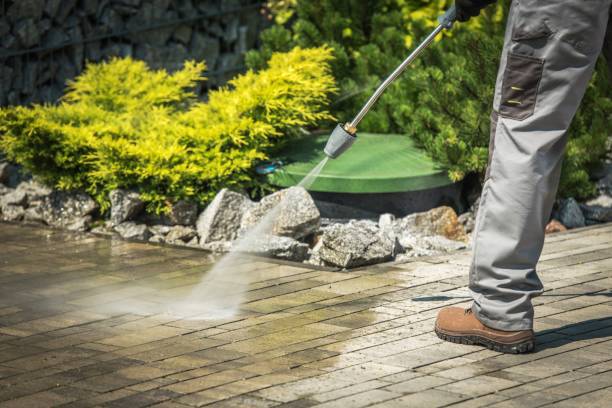 Best Winterizing Services  in Rockwall, TX