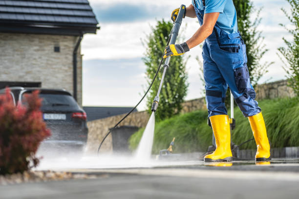 Animal Enclosure Cleaning in Rockwall, TX
